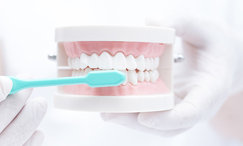 虫歯と歯周病予防の説明